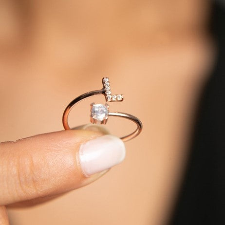 Anillo inicial