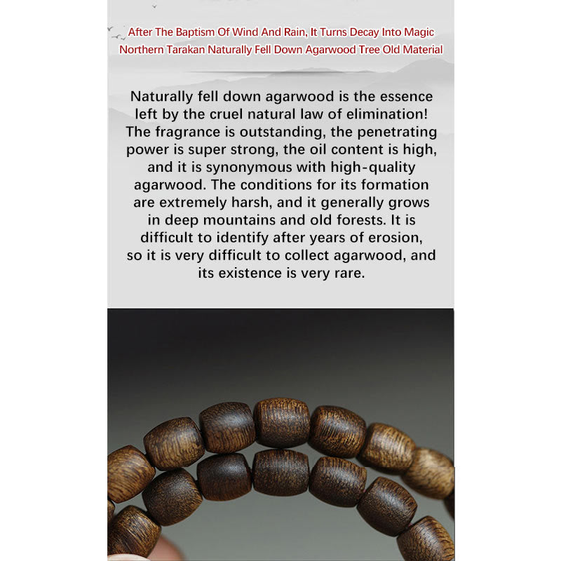 Buddha Stones 999 Gold Seltenes Tarakan-Adlerholz Tibetischer Alter Geistknochen Gleichgewicht Stärke Doppelwickelarmband