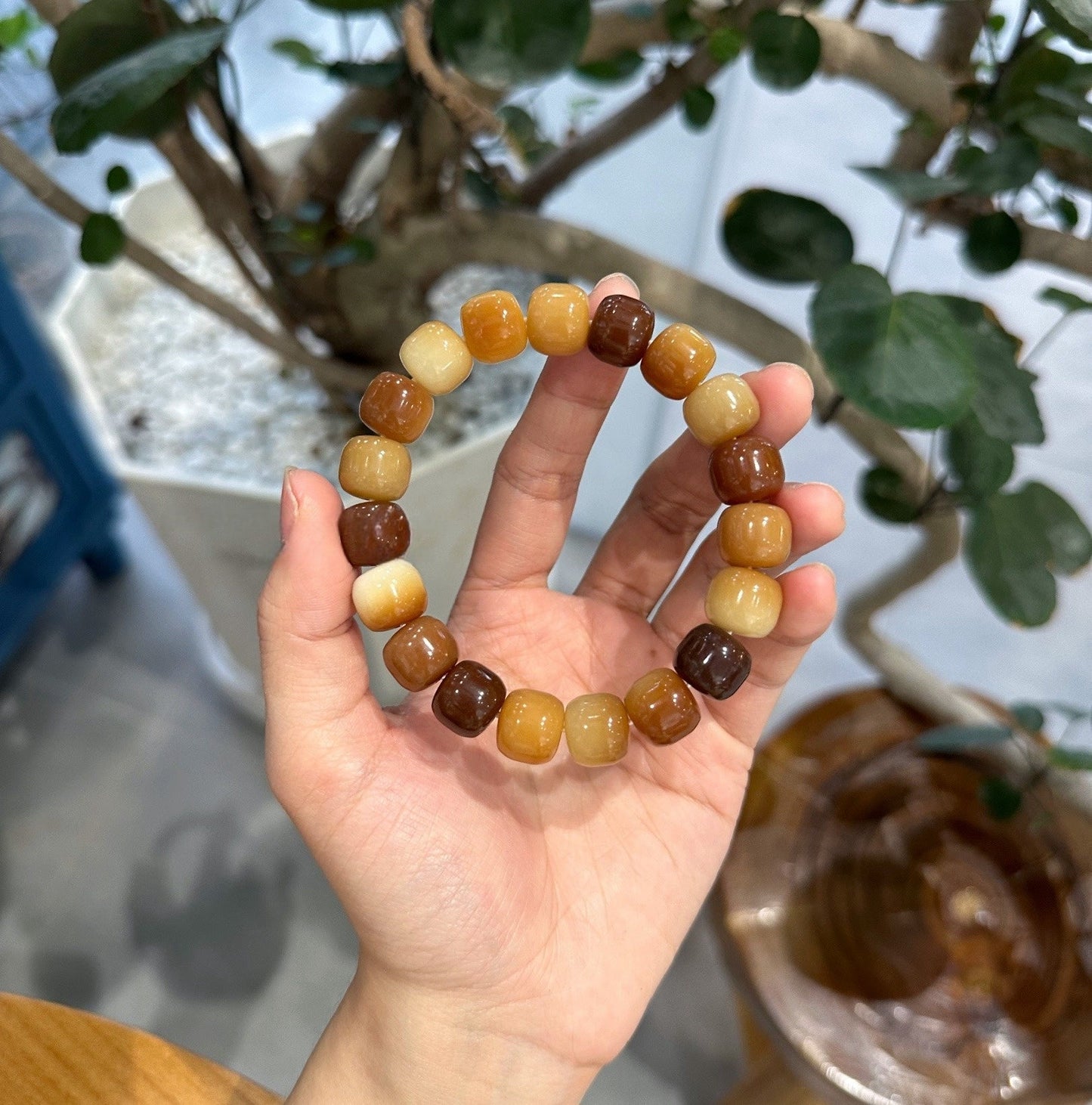 Latest DIY 12mm Bodhi Bead Bracelet( Multiple Colors Available) - Touch Bling