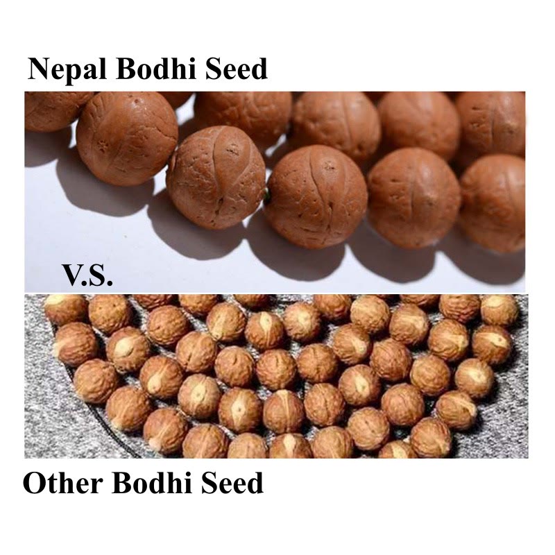 Pulsera con borlas de 108 cuentas de Mala Bodhi de Nepal, con semillas de Buda y riqueza