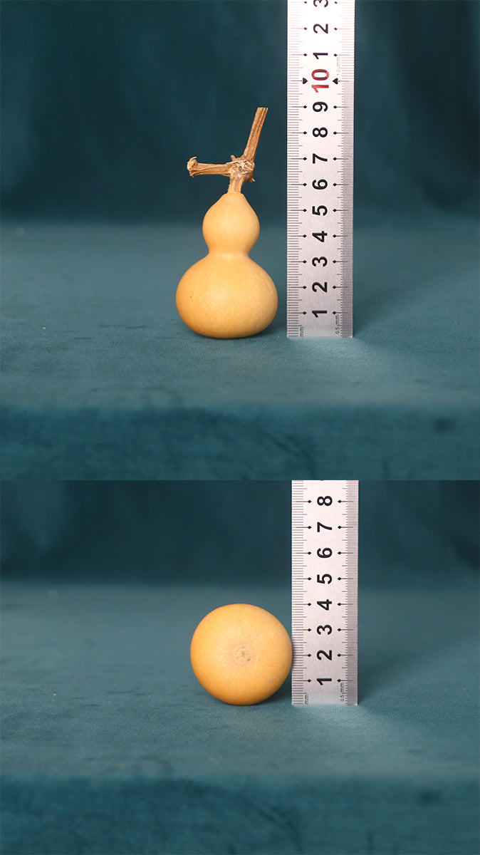 Natural Gourd Handle