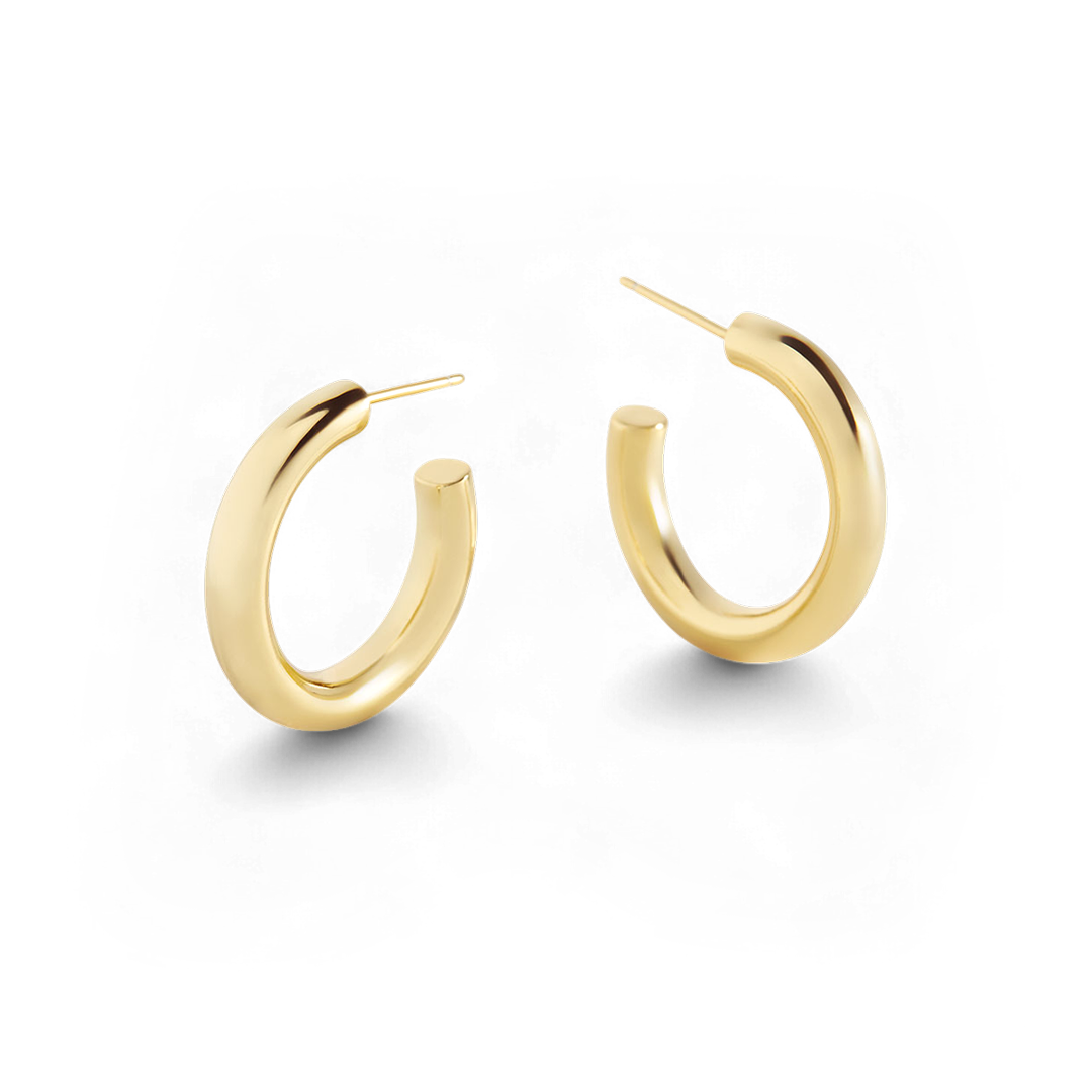 Bold Hoop Earrings