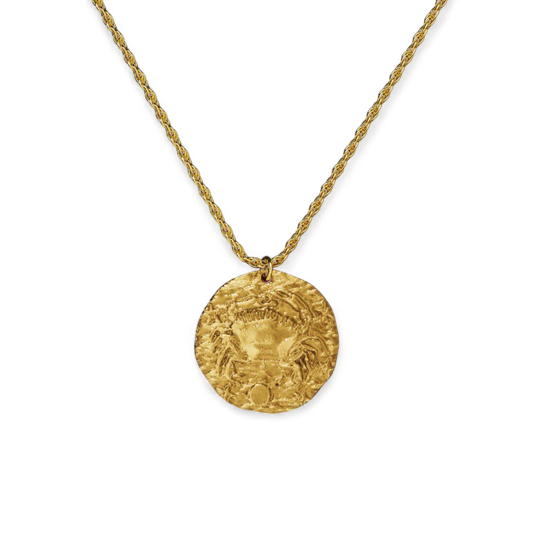 Hammered Gold Zodiac Pendant Necklace