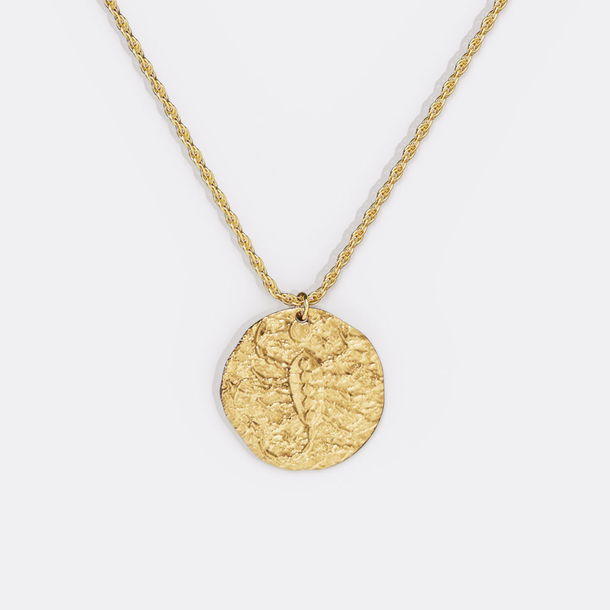 Hammered Gold Zodiac Pendant Necklace
