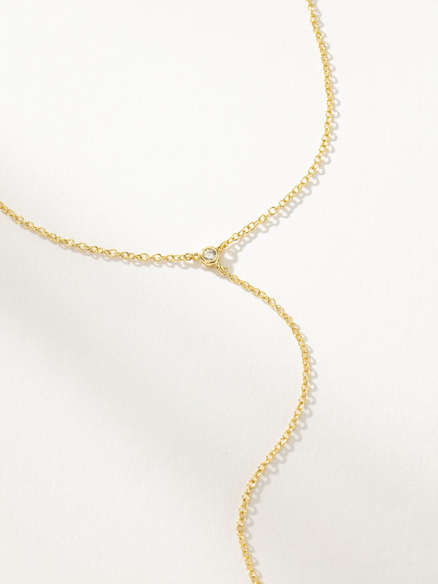 Collar Lariat Rebellion