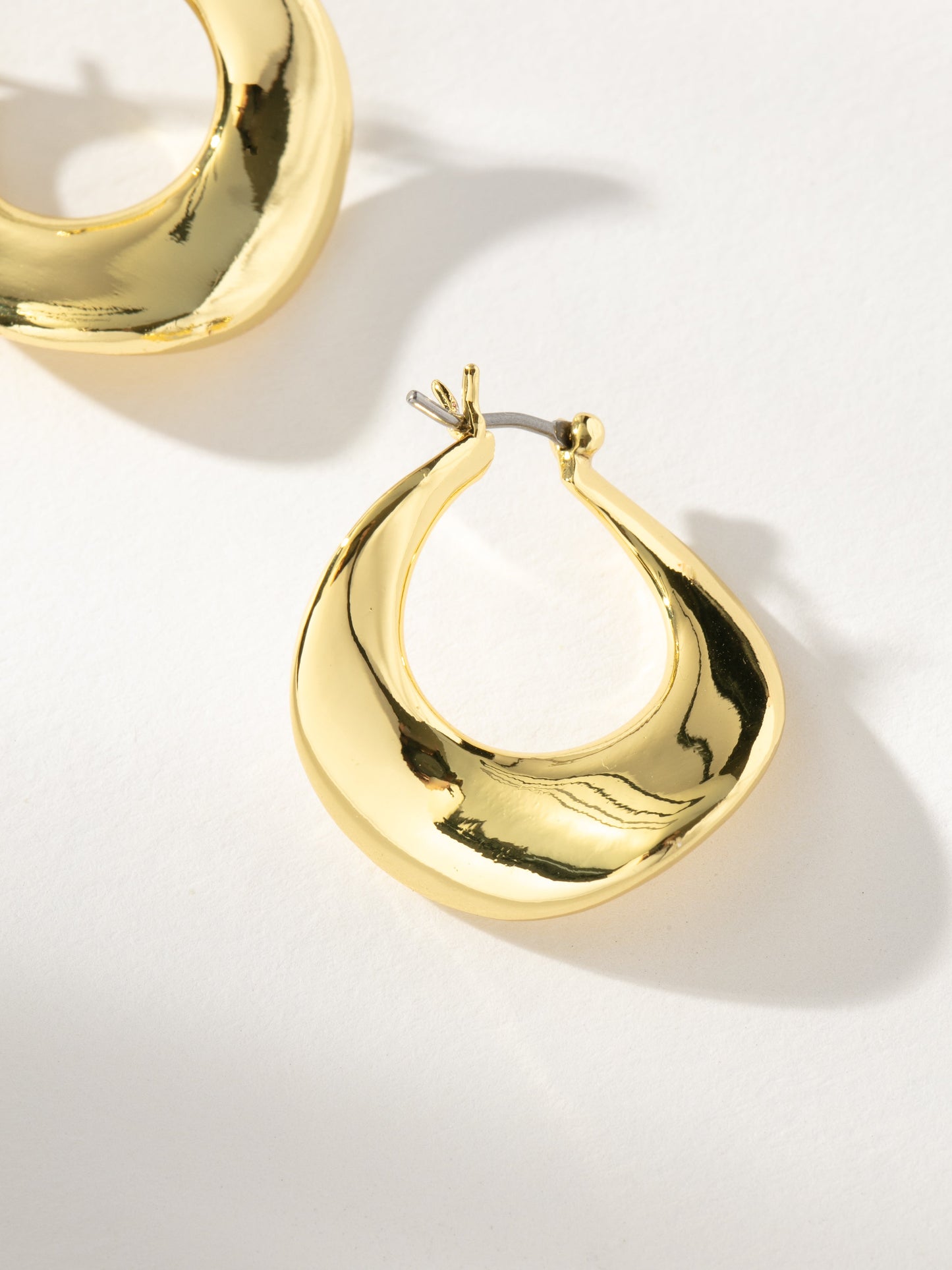 Pendientes de cisne