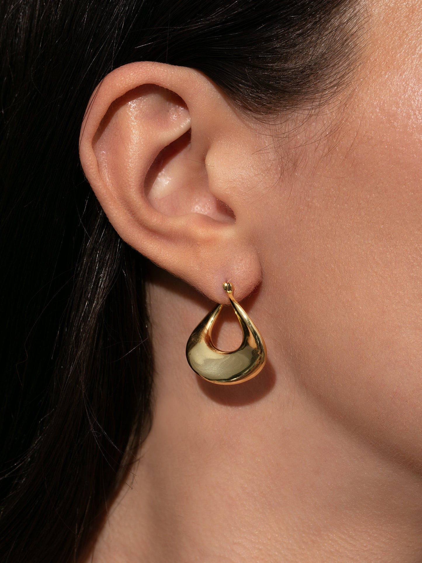 Pendientes de cisne