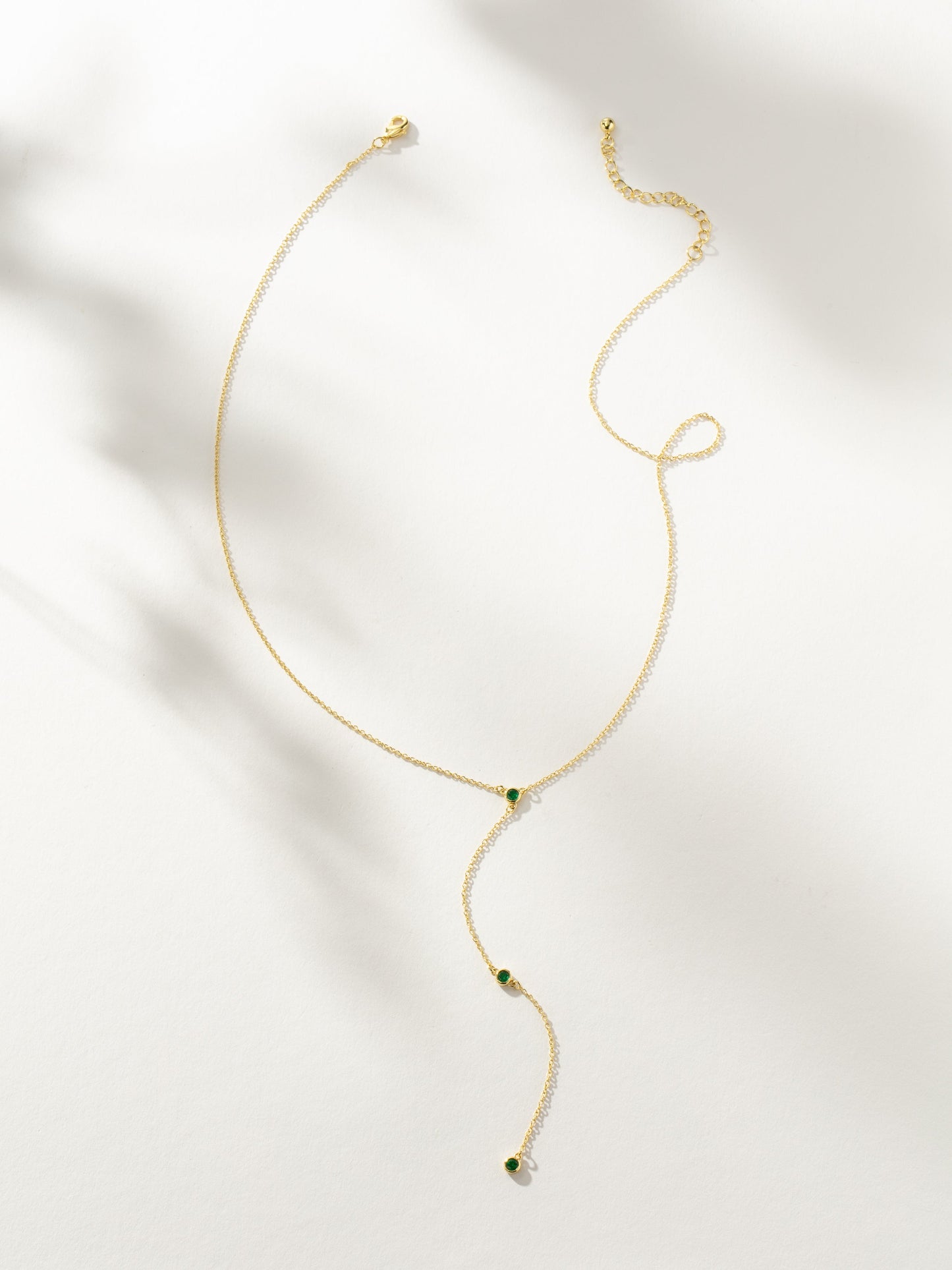 Envious Lariat Necklace