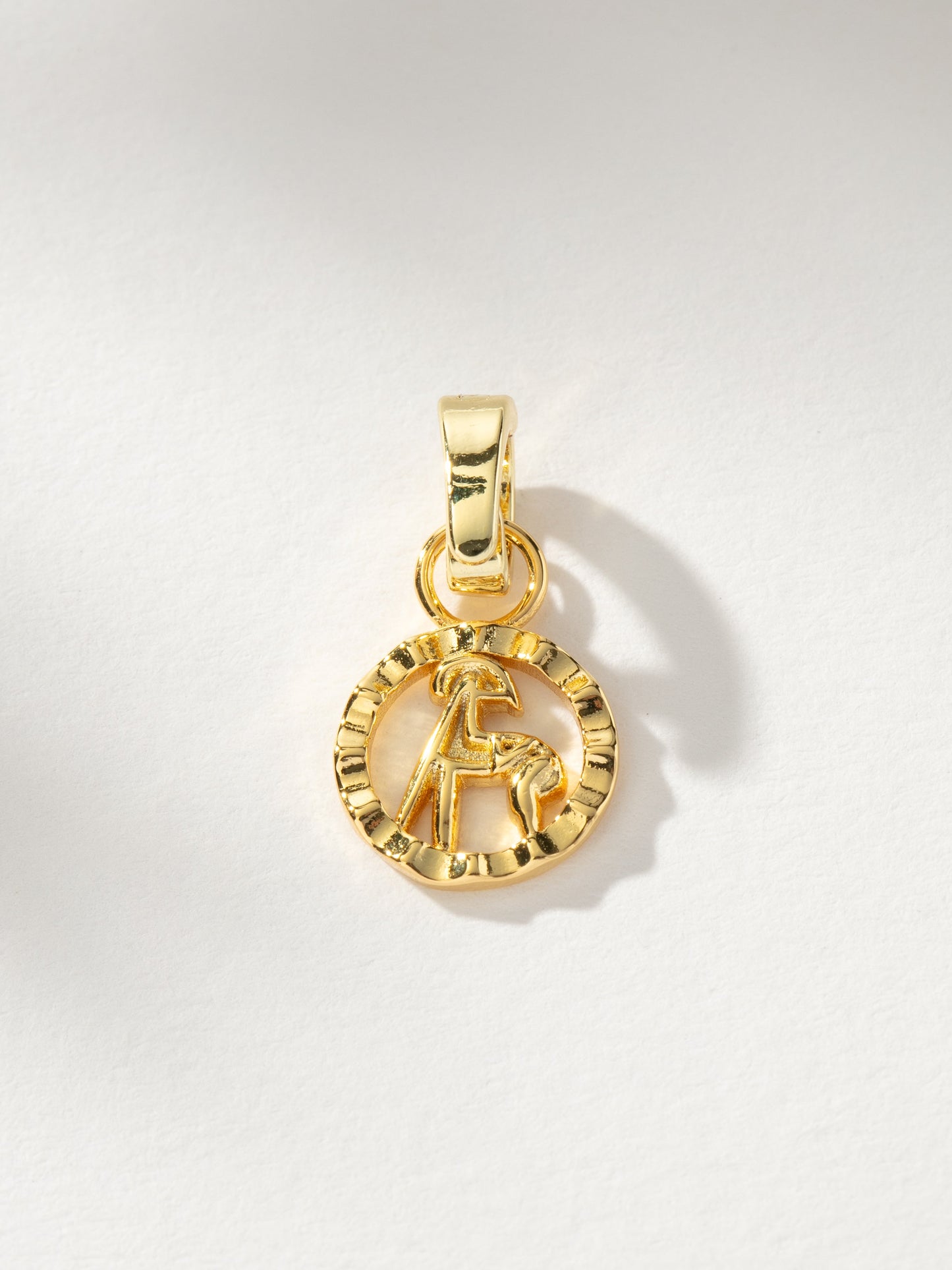 Zodiac Charm