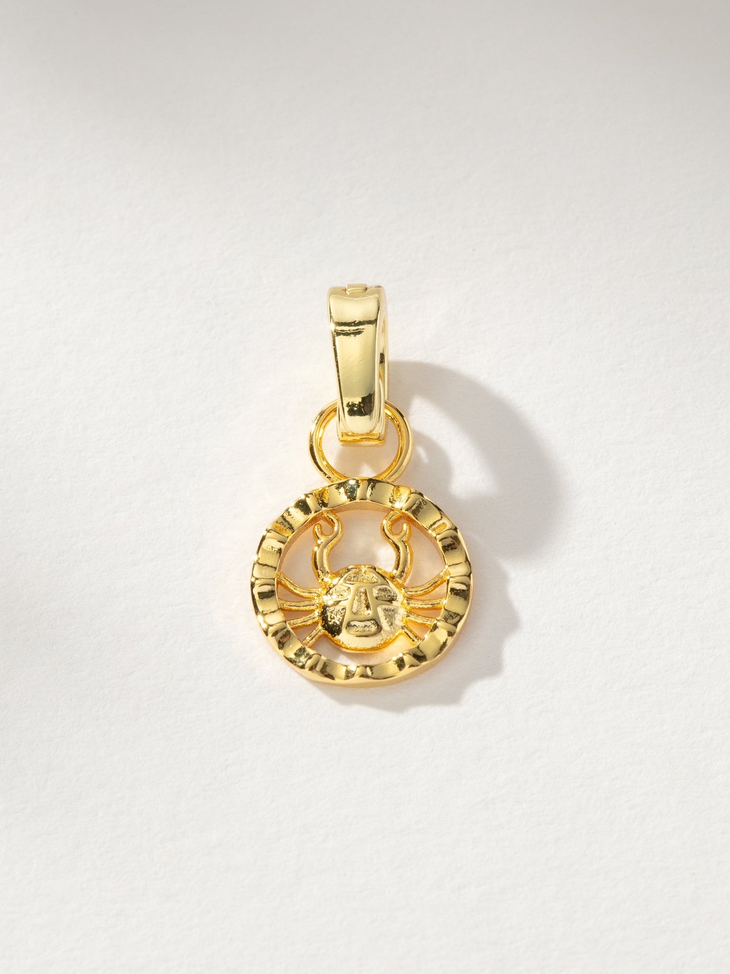 Zodiac Charm