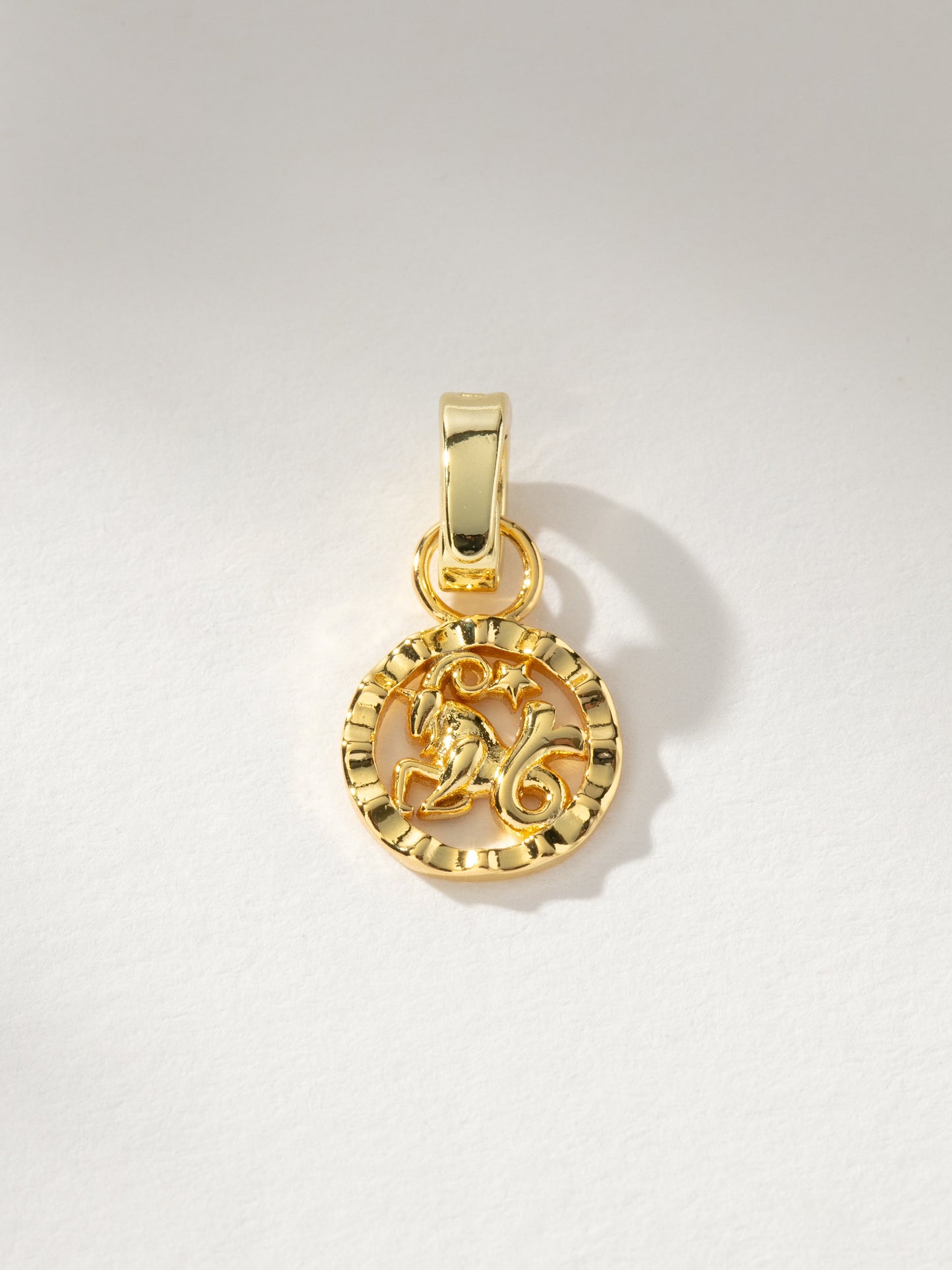 Zodiac Charm