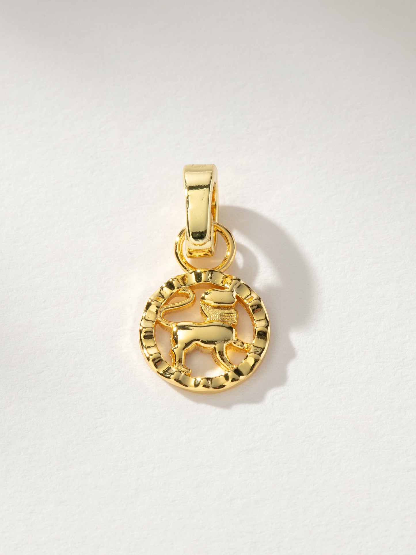 Zodiac Charm