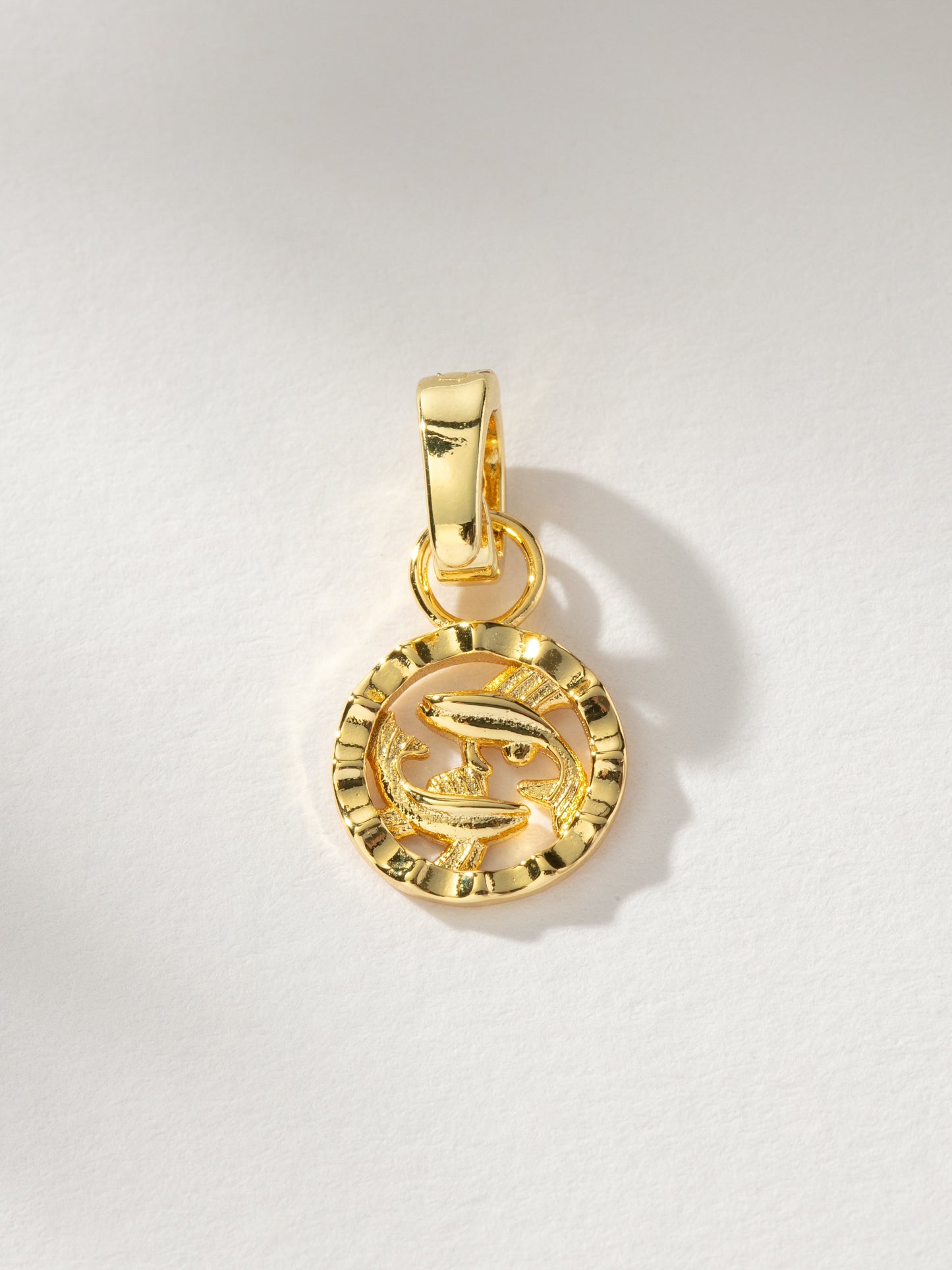 Zodiac Charm