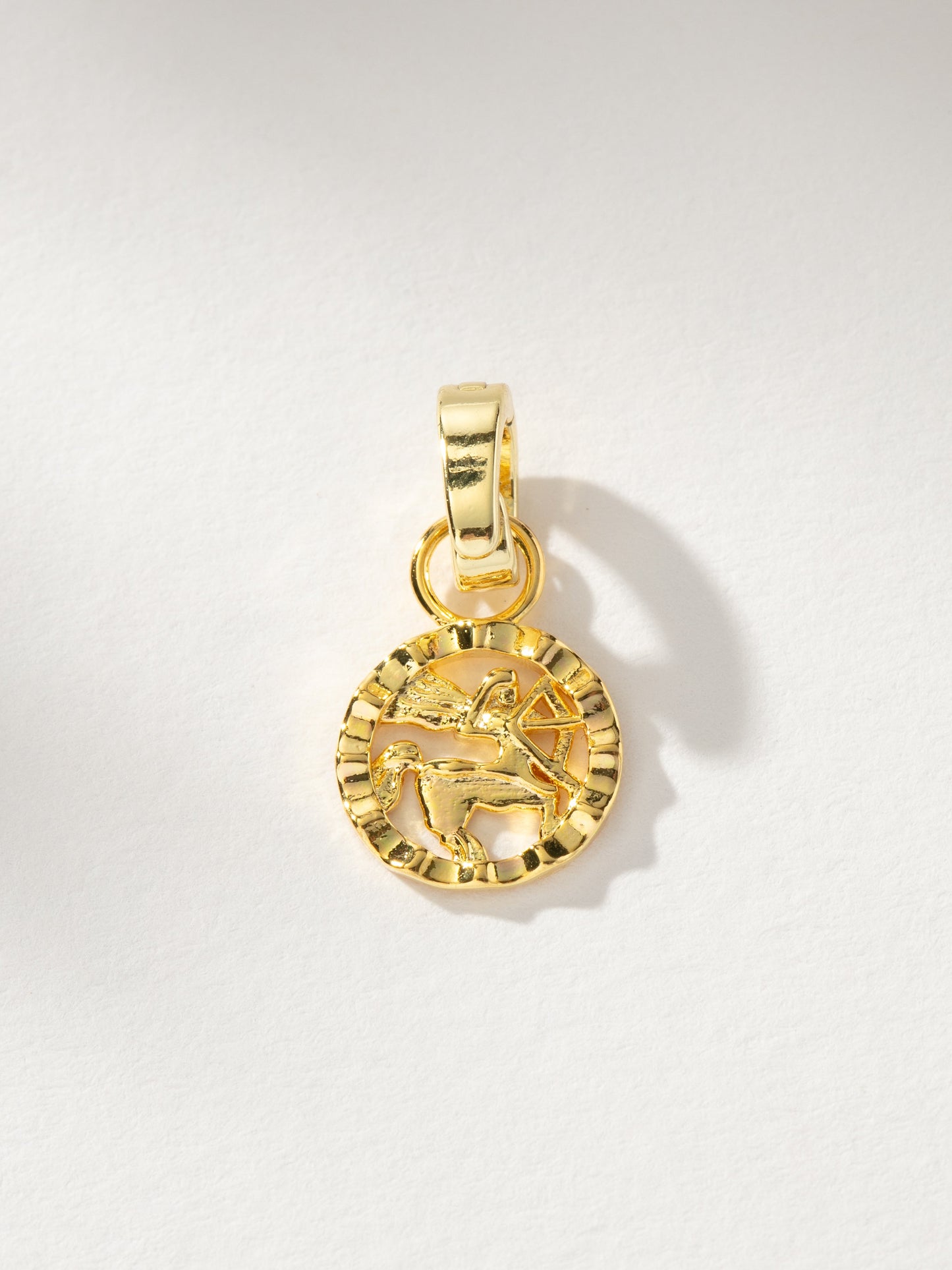 Zodiac Charm