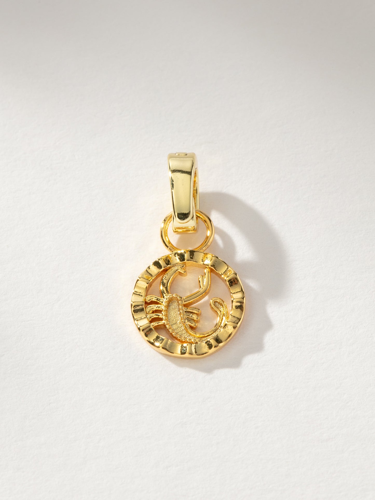 Zodiac Charm