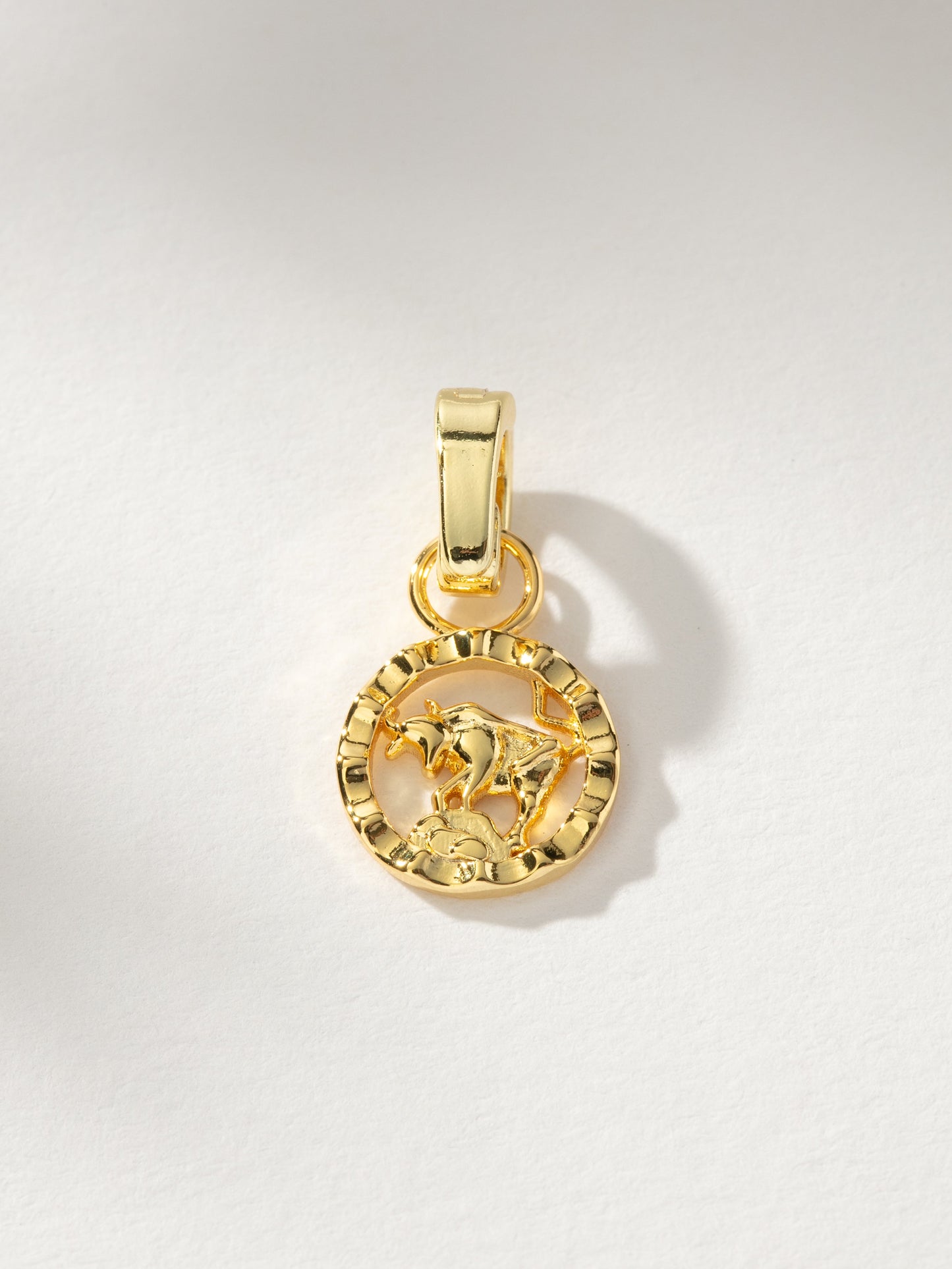 Zodiac Charm