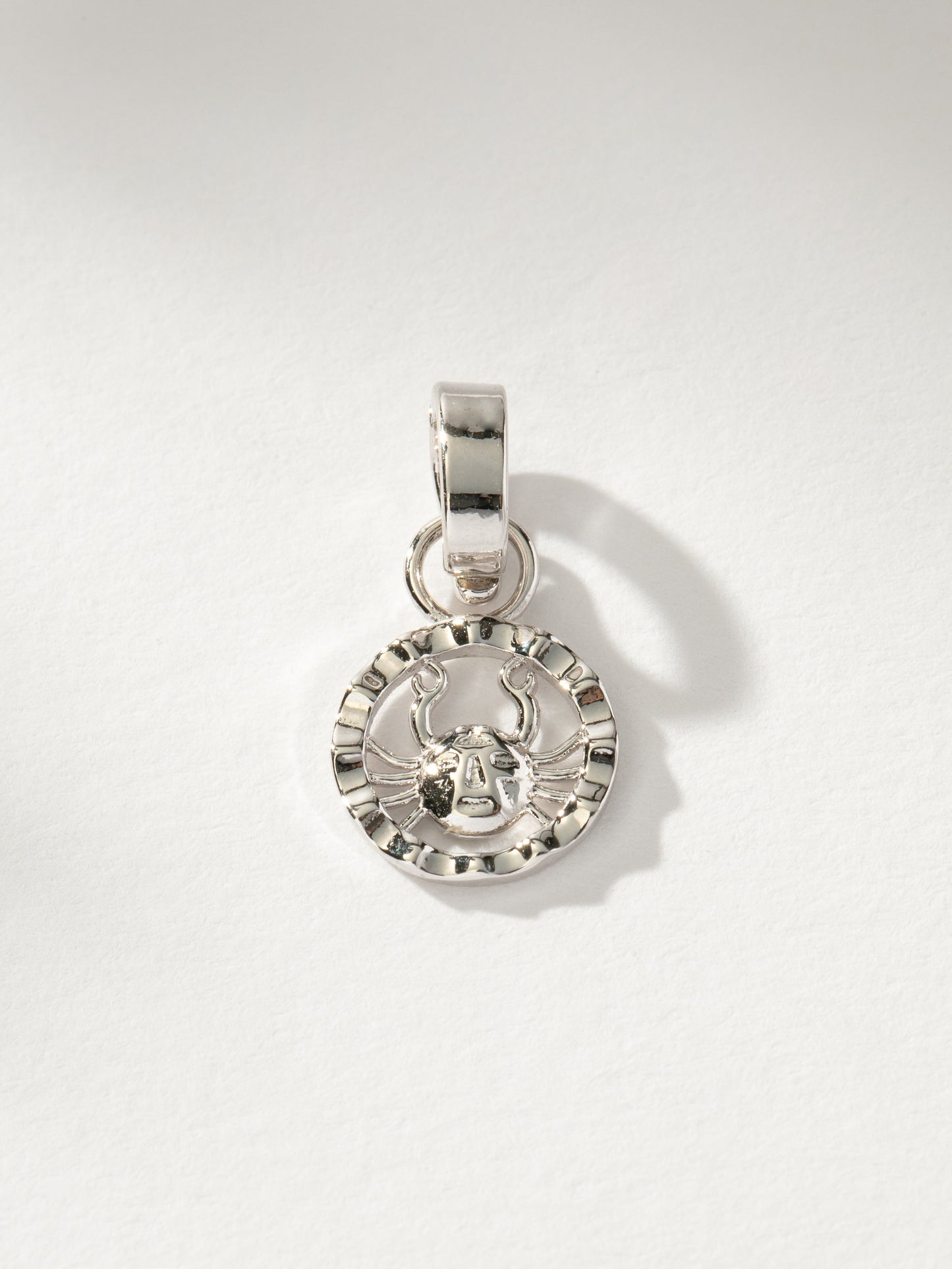 Zodiac Charm