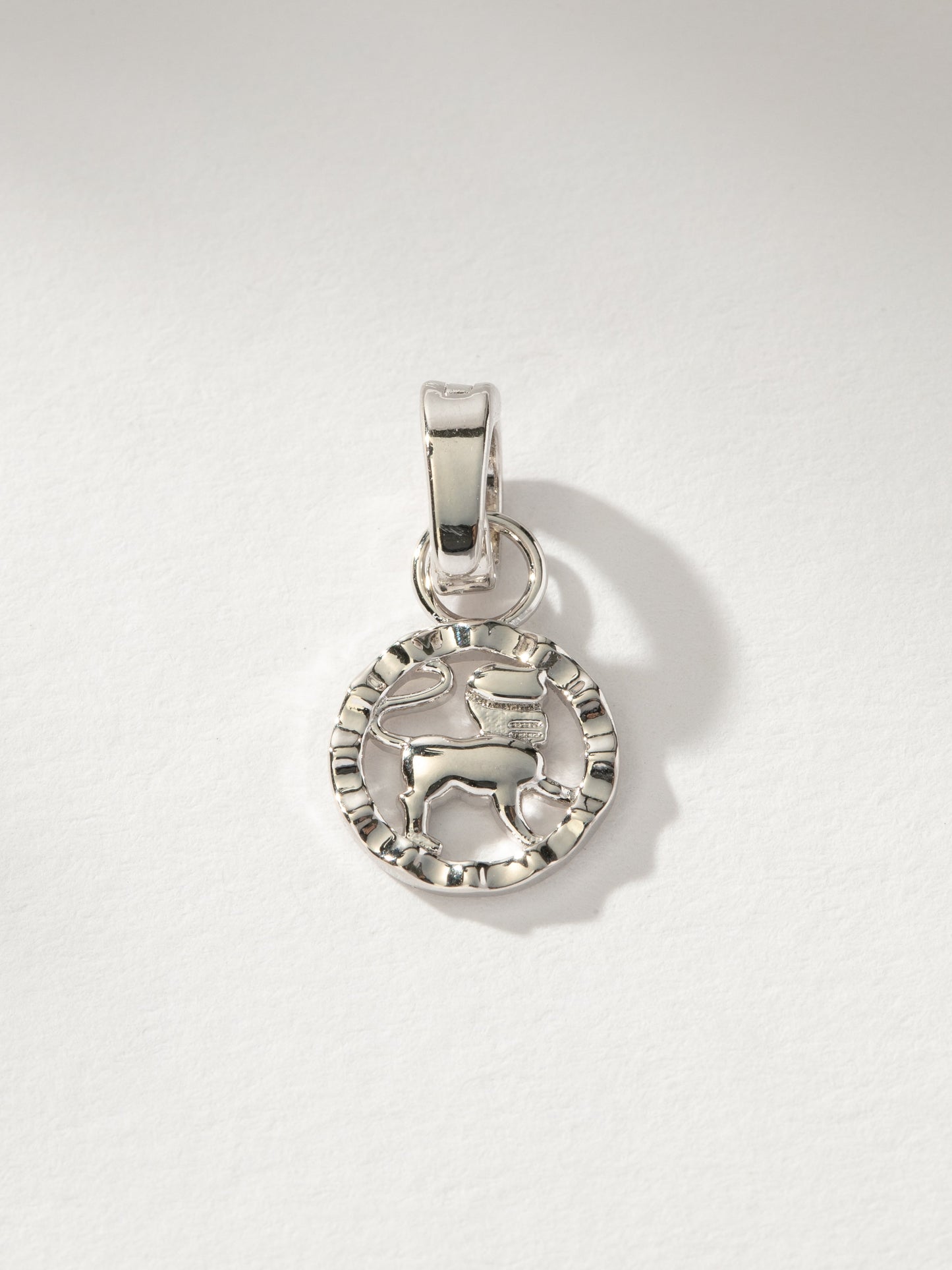 Zodiac Charm