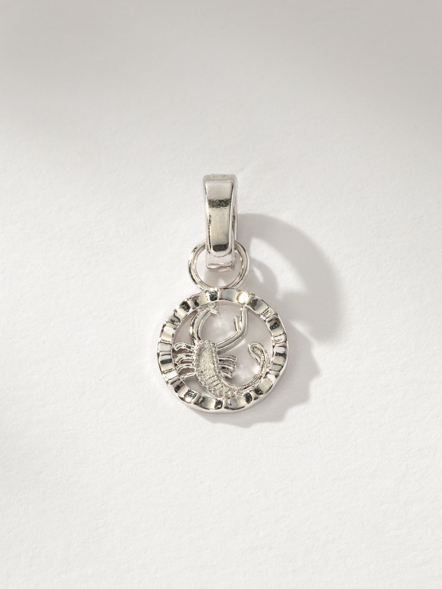 Zodiac Charm