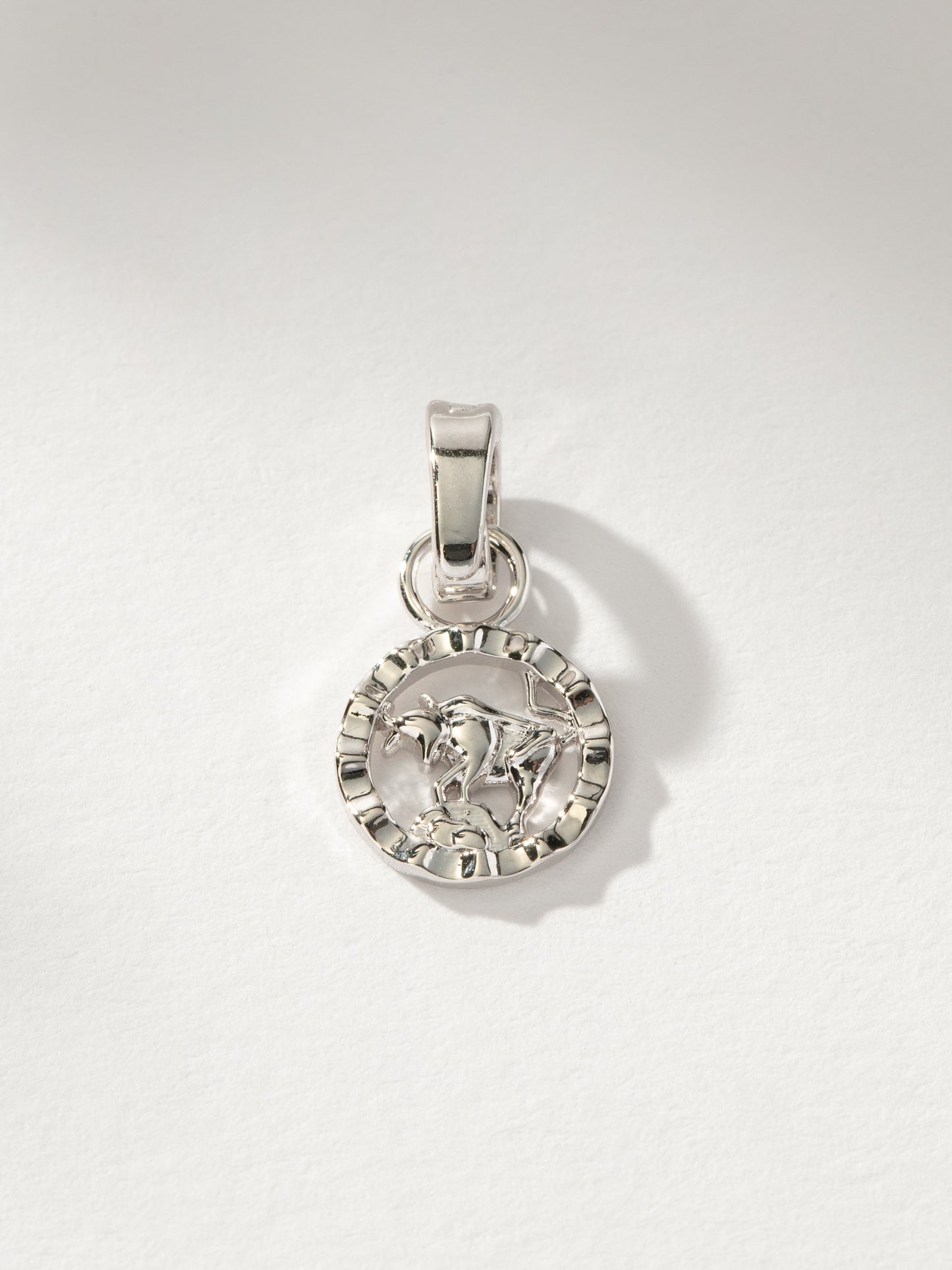 Zodiac Charm