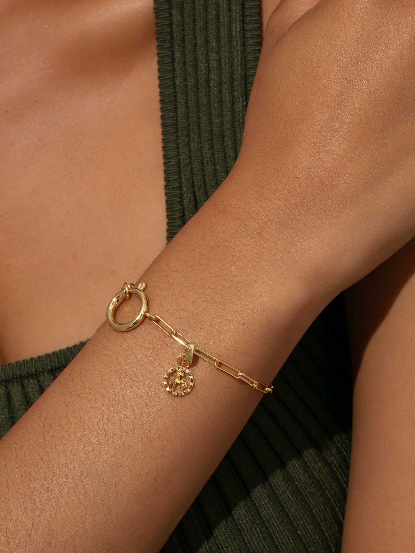 Zodiac Charm