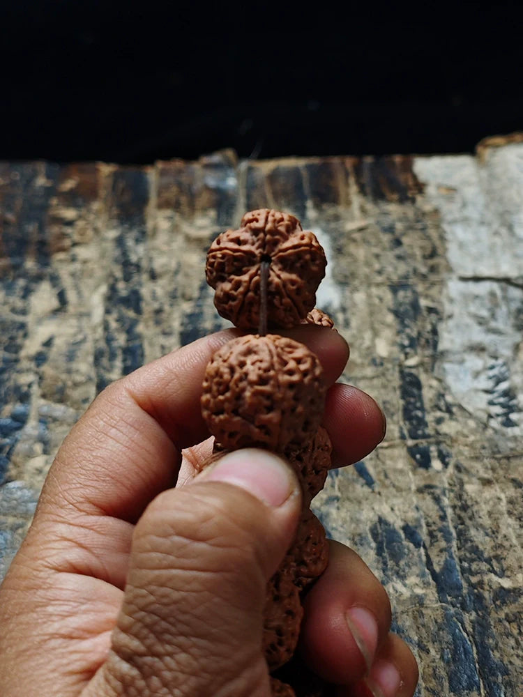 Nepal Dragon Claw Large King Kong Bodhi Bead Bracelet - Touch Bling
