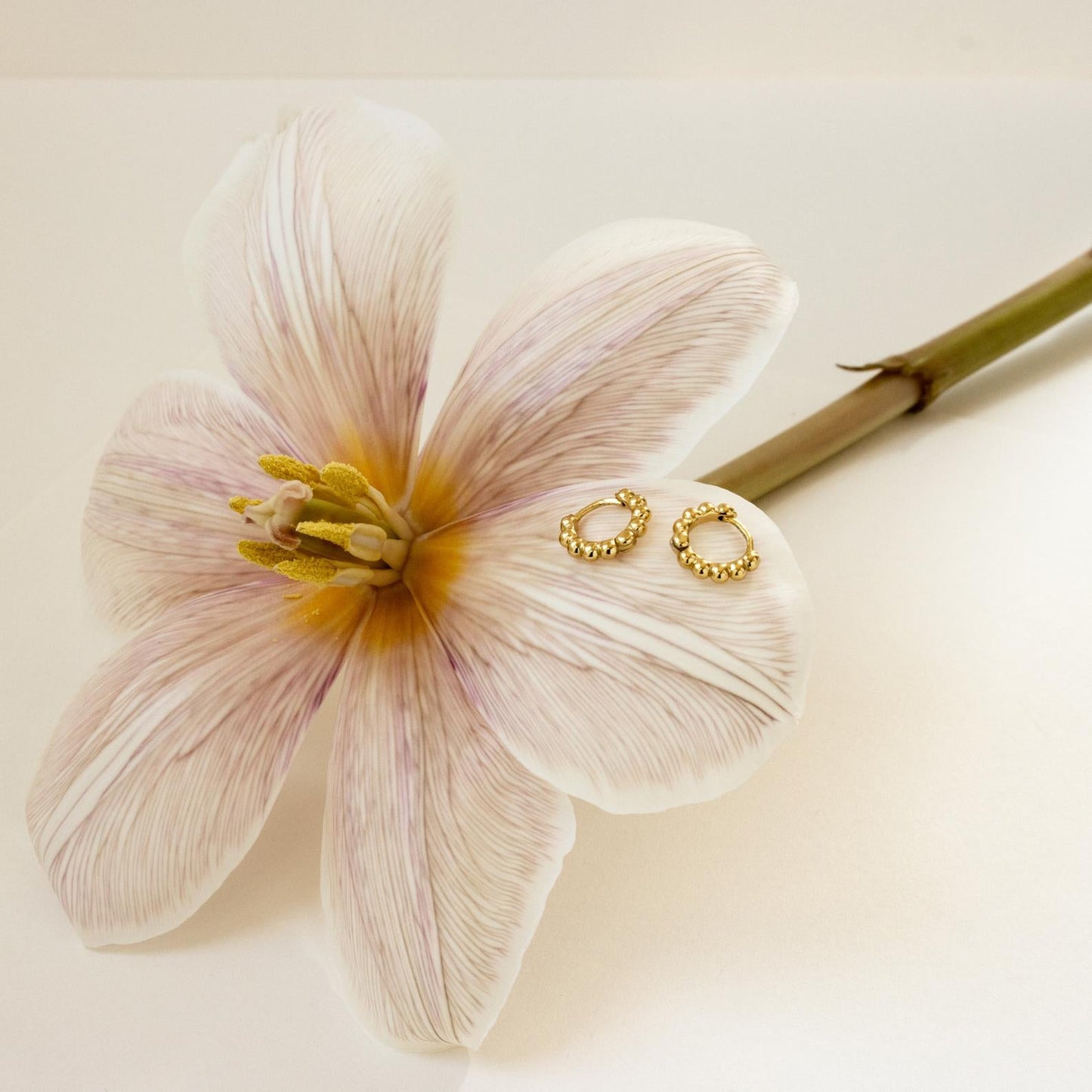 Delicados aros con cuentas de esfera