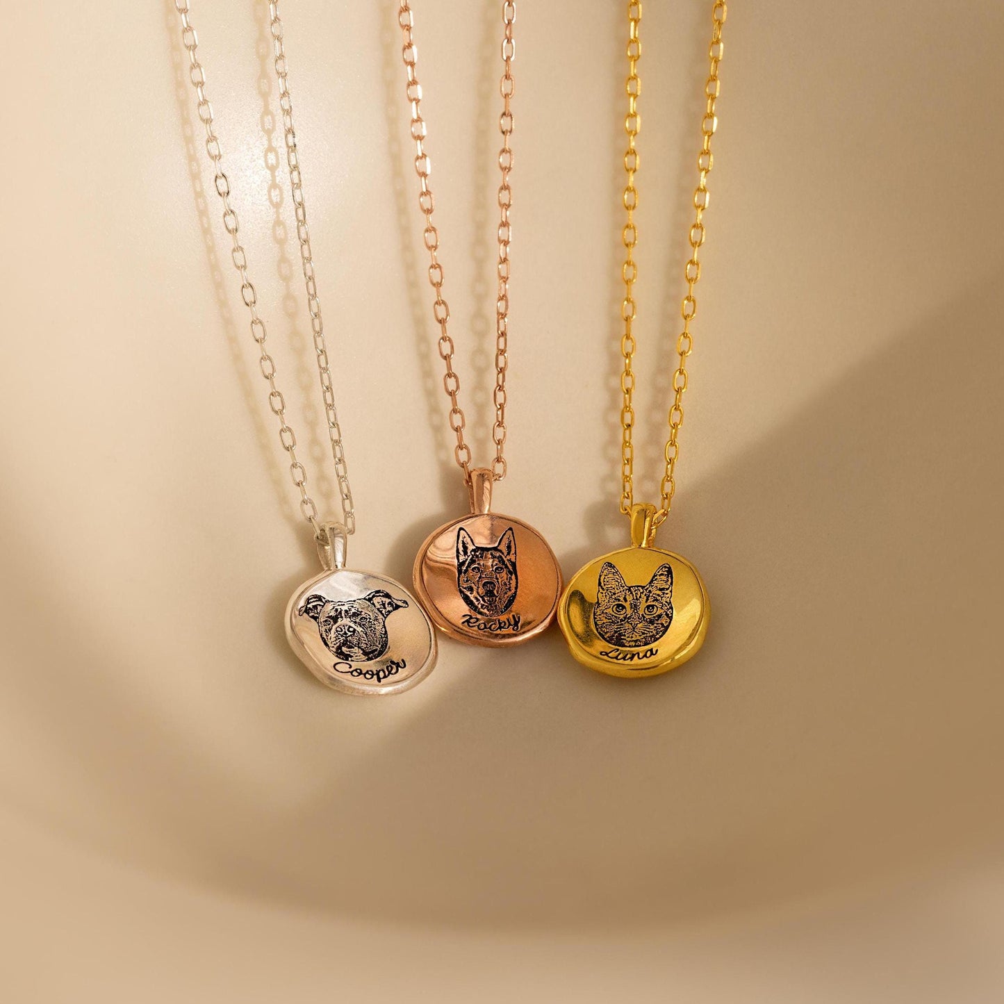 Collar con moneda y retrato de mascota