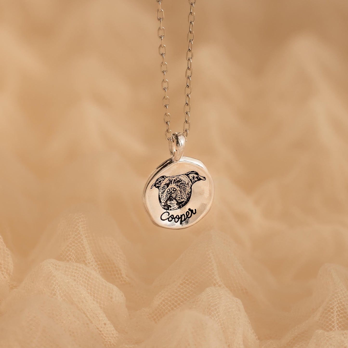 Collar con moneda y retrato de mascota