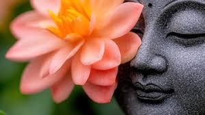 Buddha Stones Peach Blossom Pearl Happiness Stud Earrings