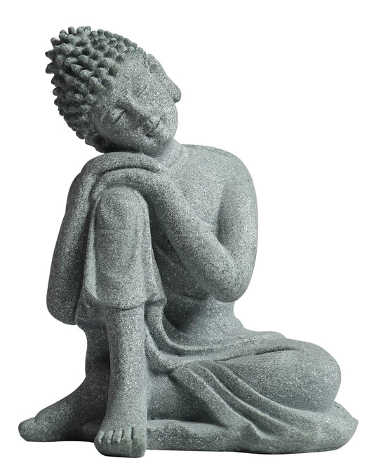 Transform Your Mind with Buddha Stones Astrophyllite Bracelet