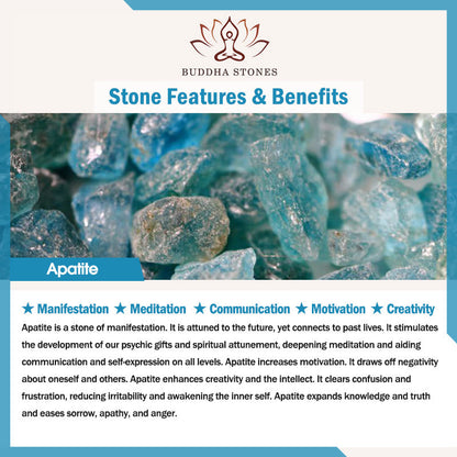 Buddha Stone Apatite Motivation Bracelet
