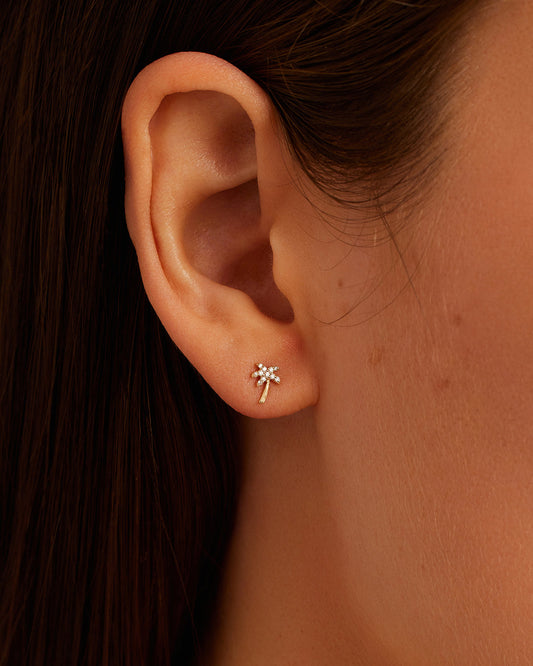 Pendientes de palma de diamantes