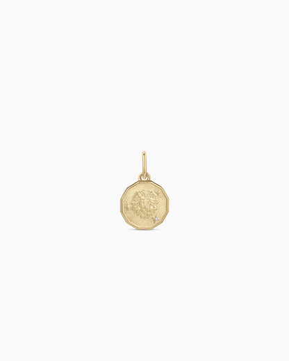 Charm de moneda del zodiaco de diamante