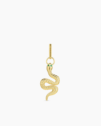 Charm con forma de serpiente