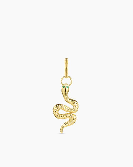 Charm con forma de serpiente