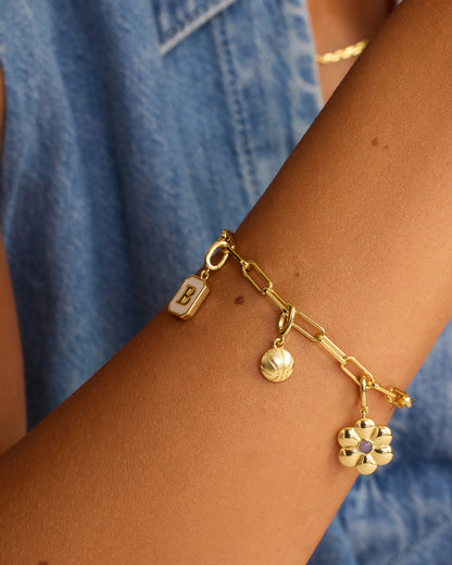 Charm de Varsity Parker