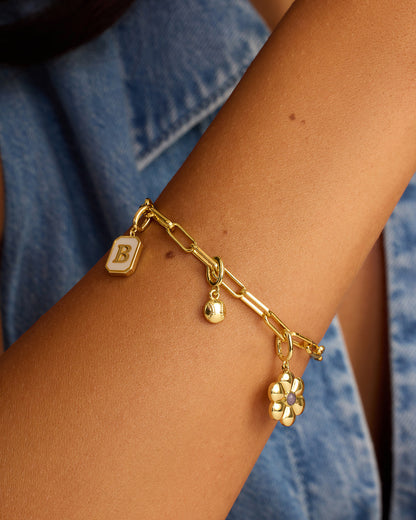 Charm de Varsity Parker