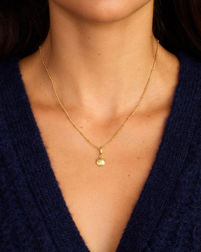 Charm de Varsity Parker