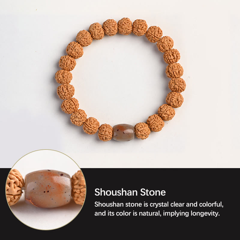 Buddha-Steine ​​Tibet Rudraksha Bodhi Samen Reichtum Glücksbringer Armband