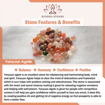 Buddha Stones Yanyuan Agate Cat Claw Paw White Bodhi Seed Fu Character Positive Braided Rope Bracelet