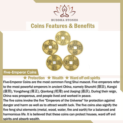 Buddha-Steine ​​Feng Shui Fünf Kaiser Münzen Erdnuss Reichtum Armband Armreif 