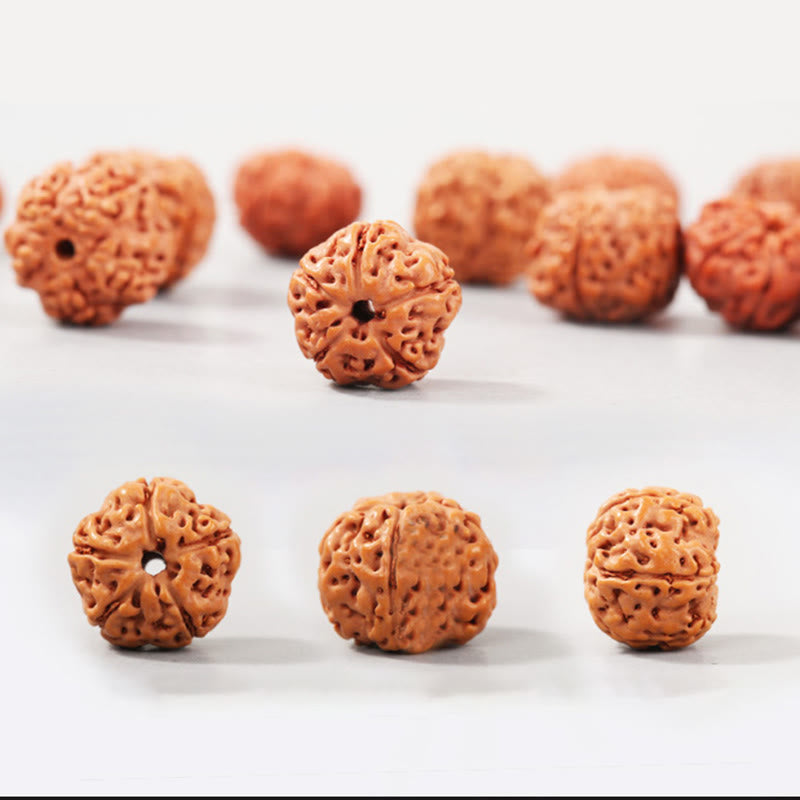 Buddha-Steine ​​Tibet Rudraksha Bodhi Samen Reichtum Glücksbringer Armband