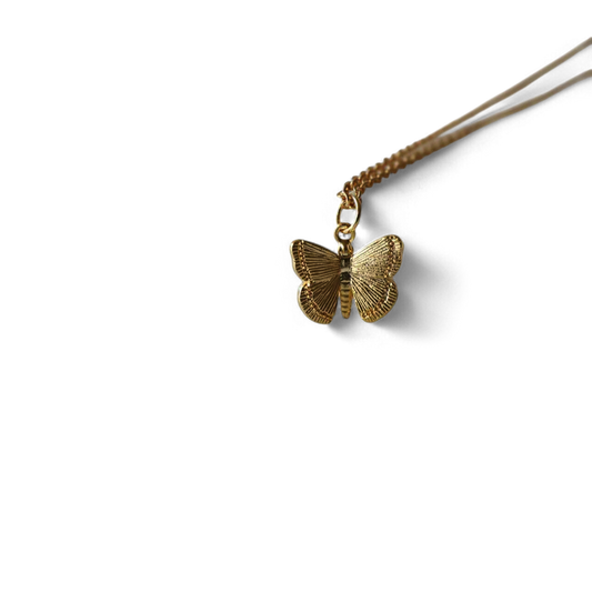 Collar con colgante de mariposa