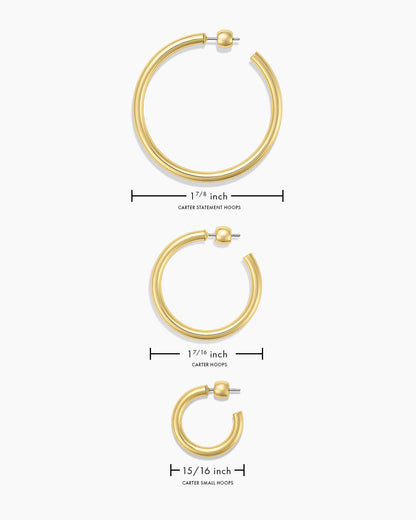 Carter Statement Hoops