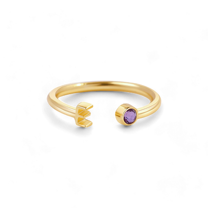 Zierlicher Geburtsstein-Initialenring