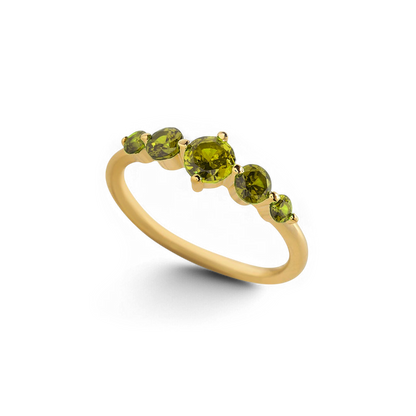 Five Stone Birthstone Statement Ring