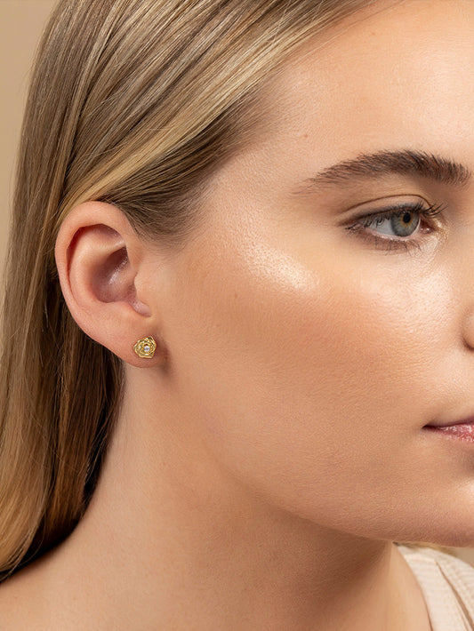 Pendientes de rosa