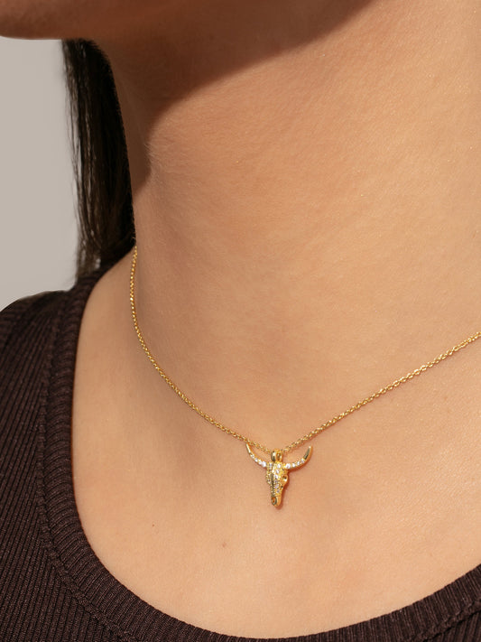 Collar de luchador 2.0