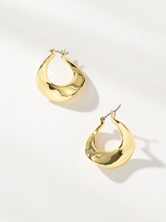 Pendientes de cisne